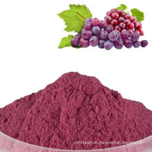 Polvo de jugo de uva roja 100% puro rojo deshidratado